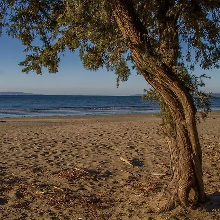 Beach House * Punta Ala